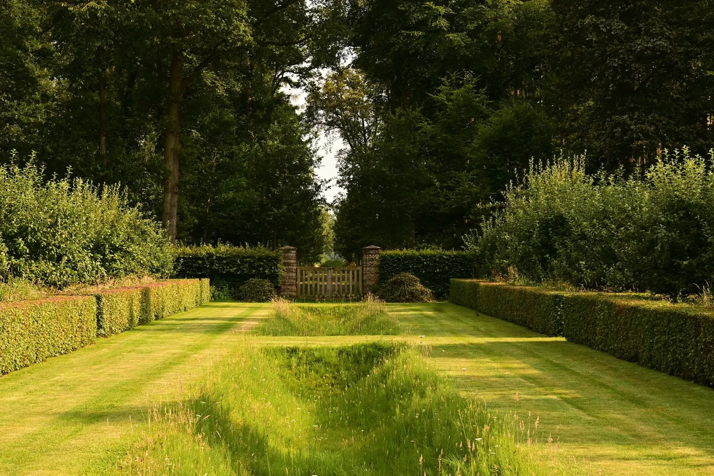 Plants & Hedging